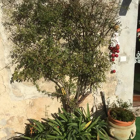 Apartment La Nuova Luna Bazzano di Spoleto